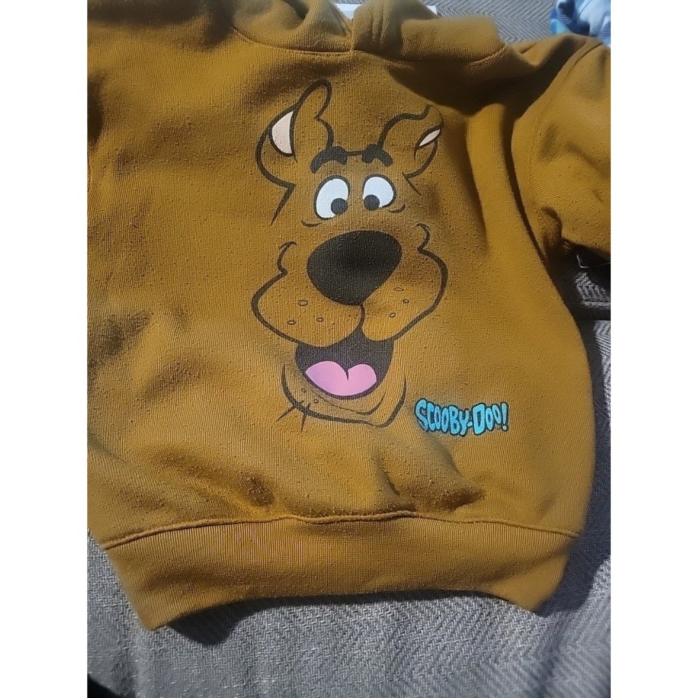 Vintage 90s Scooby Doo Hooded Sweatshirt 3T